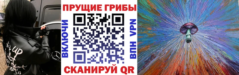 продажа наркотиков  Пучеж  Псилоцибиновые грибы GOLDEN TEACHER 